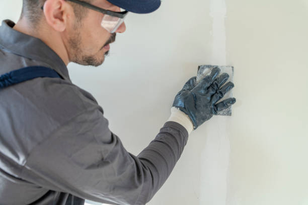 Best Mold Removal for HVAC Installations  in Agoura Hills, CA