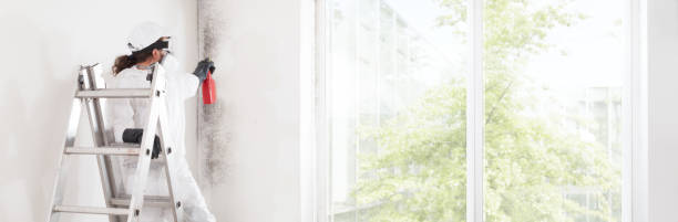 Best Residential Mold Inspection & Testing  in Agoura Hills, CA