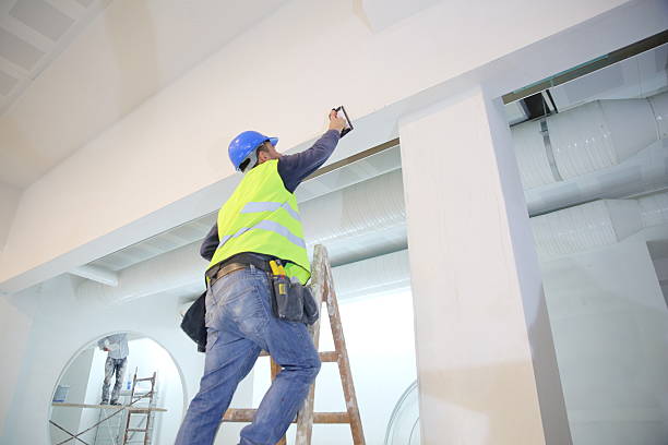 Best Attic Mold Removal  in Agoura Hills, CA