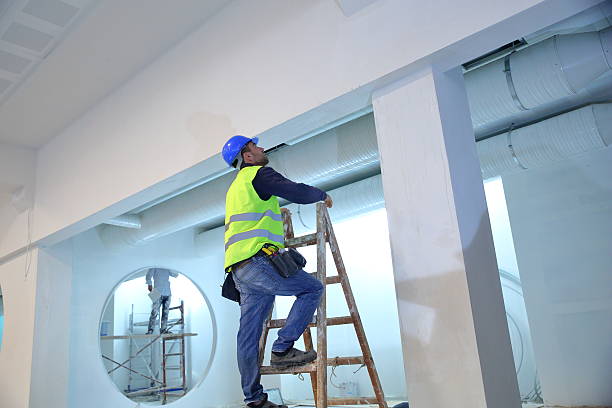 Best Crawl Space Mold Remediation  in Agoura Hills, CA