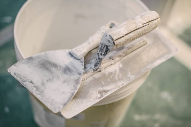 Trusted Agoura Hills, CA Mold Removal Experts